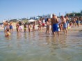/album/galleria-foto-manifestazione-di-giochi-al-camping-salerno-2012/a100-1621-jpg/