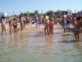 /album/galleria-foto-manifestazione-di-giochi-al-camping-salerno-2012/a100-1624-jpg/